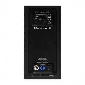 Активная акустическая система AST-310A