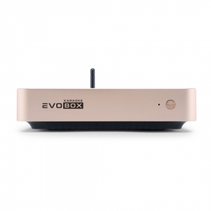 EVOBOX Plus караоке-система для дома